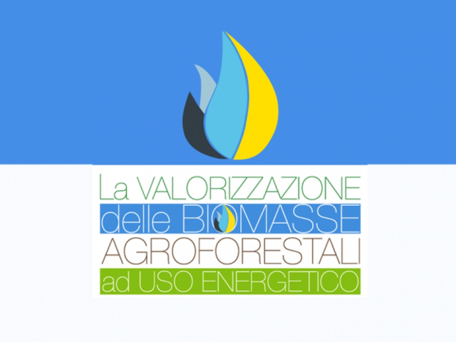 La Valorizzazione delle Biomasse