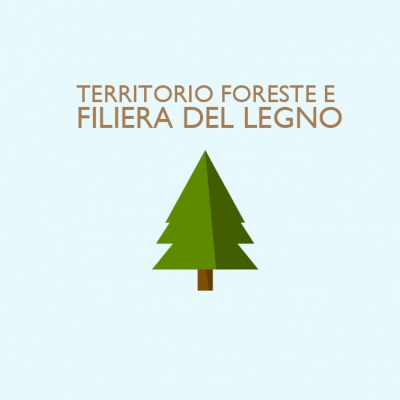 Territorio Foreste Filiera del Legno