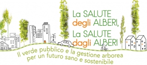 La salute degli alberi, la salute dagli alberi