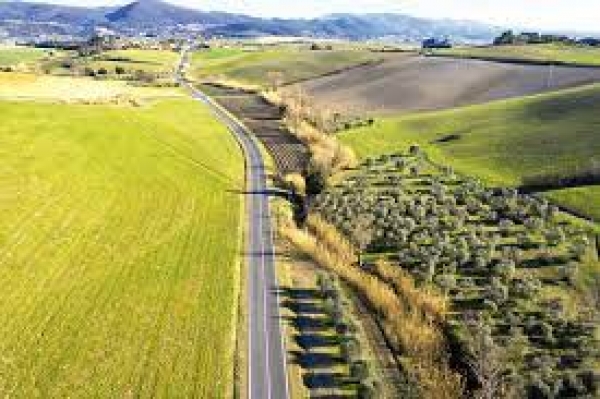 Miglioramento della redditivit&agrave; e della competitivit&agrave; delle aziende agricole - 4.1.1 PSR