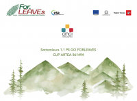 Il Bosco tra tradizione ed innovazione: L'Associazione Fondiaria" | Chiusi della Verna (AR) - 9 marzo ore 9.30