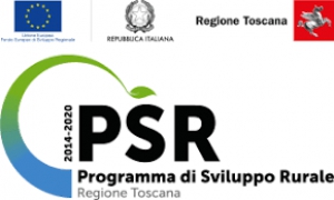 Programma di Sviluppo Rurale 2014-2020: gli strumenti finanziari