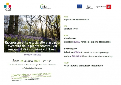 Incontro tematico "Riconoscimento e lotta alle principali avversit&agrave; delle piante forestali ed ornamentali in provincia di Siena"