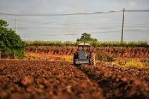 Bando sui Contratti di Filiera