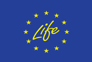Bando LIFE 2024