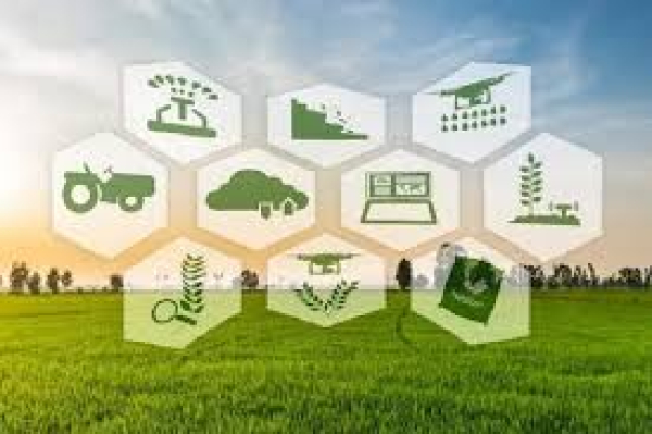 Cooperazione per azioni di supporto all&rsquo;innovazione e servizi rivolti al settore agricolo, forestale e agroalimentare - SRG09 - CSR 2023-2027
