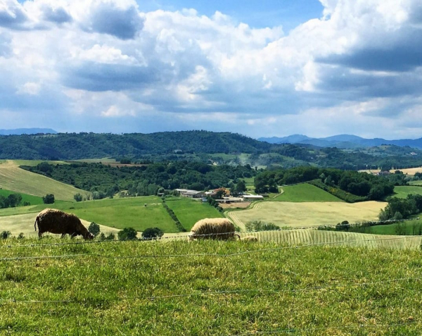 foto di 