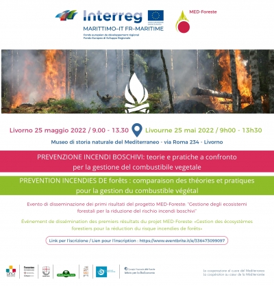 PREVENZIONE INCENDI BOSCHIVI: teorie e pratiche a confronto per la gestione del combustibile vegetale